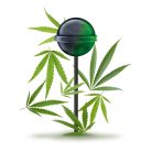 Cannabis White Widow Pops kannabisz nyalóka | 10 db