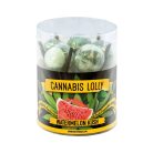Cannabis Lolly Watermelon Kush kannabisz nyalóka | 10 db