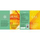 GAL C-komplex