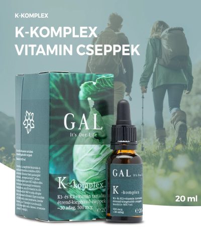 GAL K-komplex